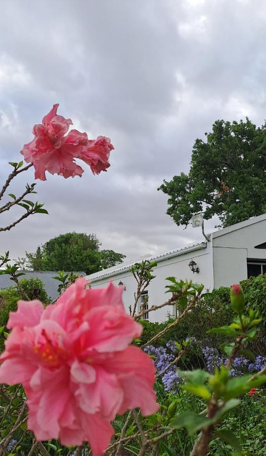 Winterson En Somerkoelte Swellendam Exteriér fotografie